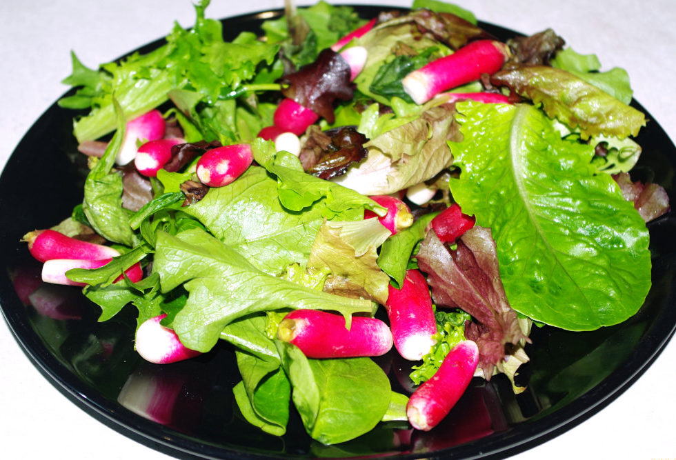 Recette de salade de jeunes pousses aux radis
