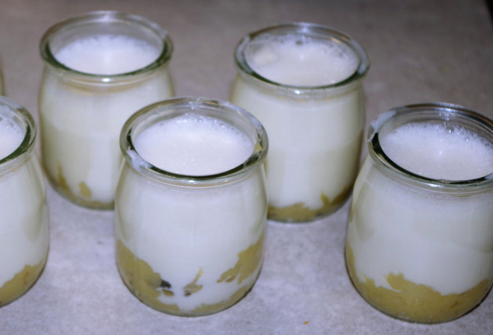 Recette de yaourts à la banane (sans yaourtière)
